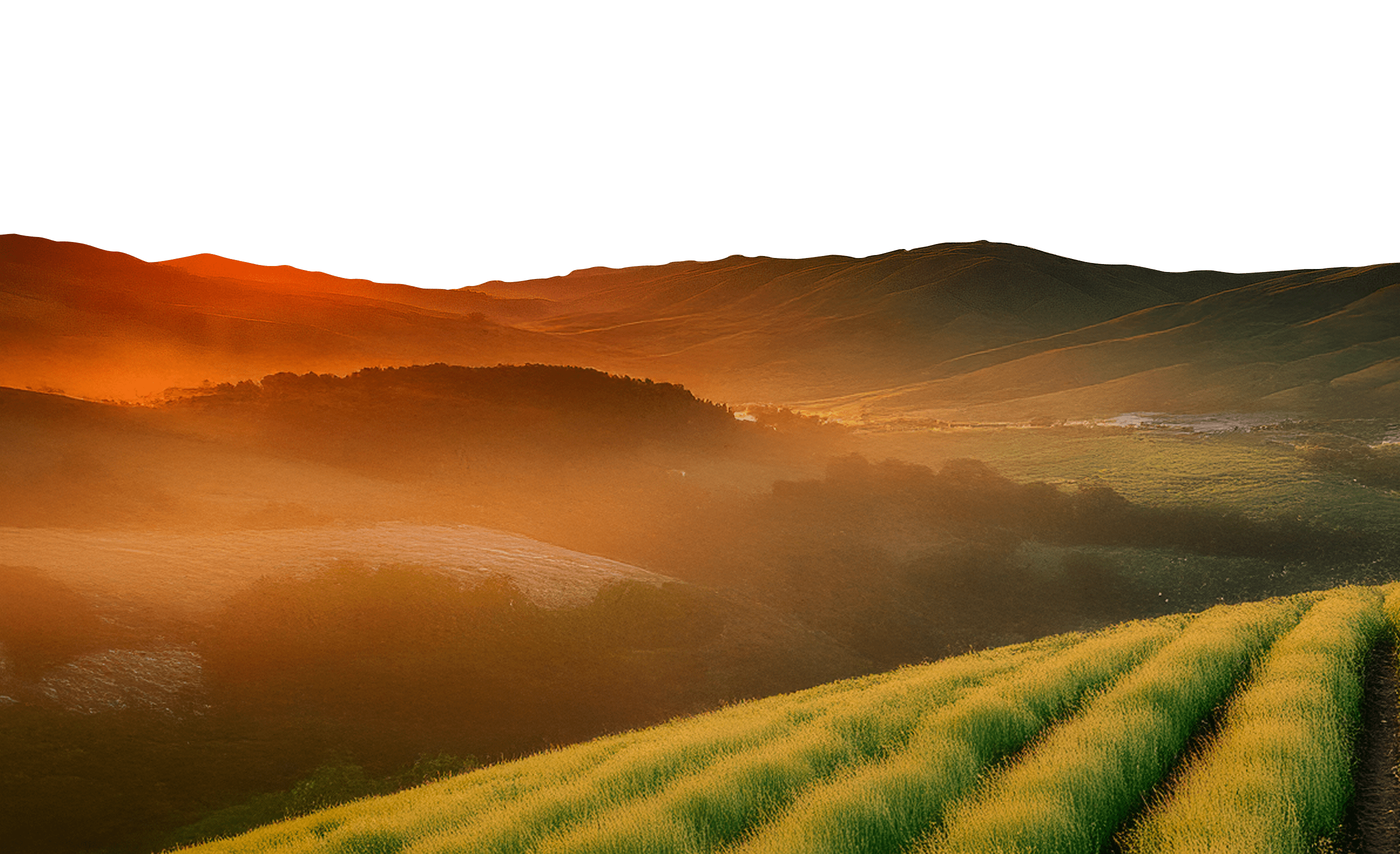 Parallax-Landscape-02-New-min