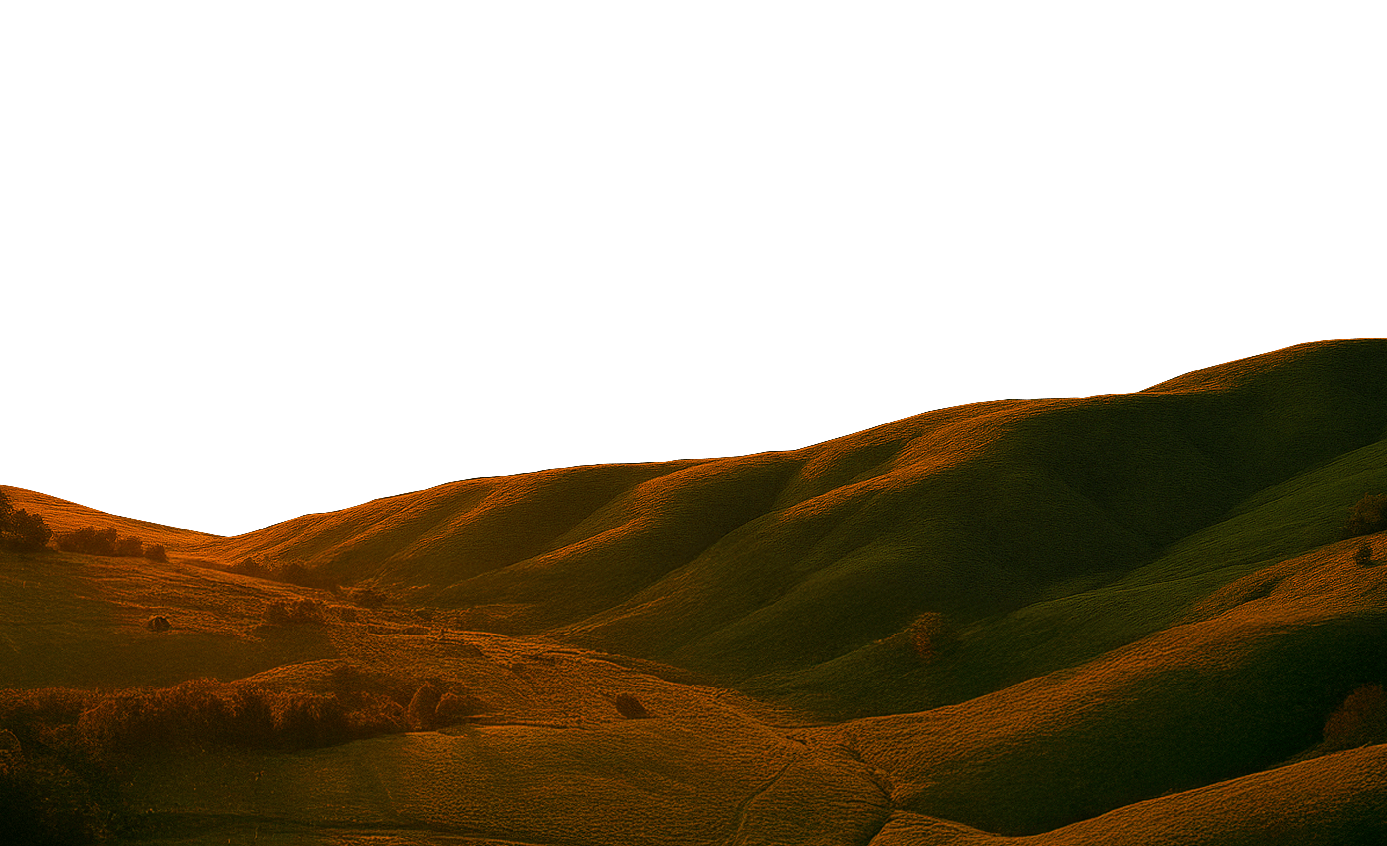 Parallax-Landscape-04-New-min