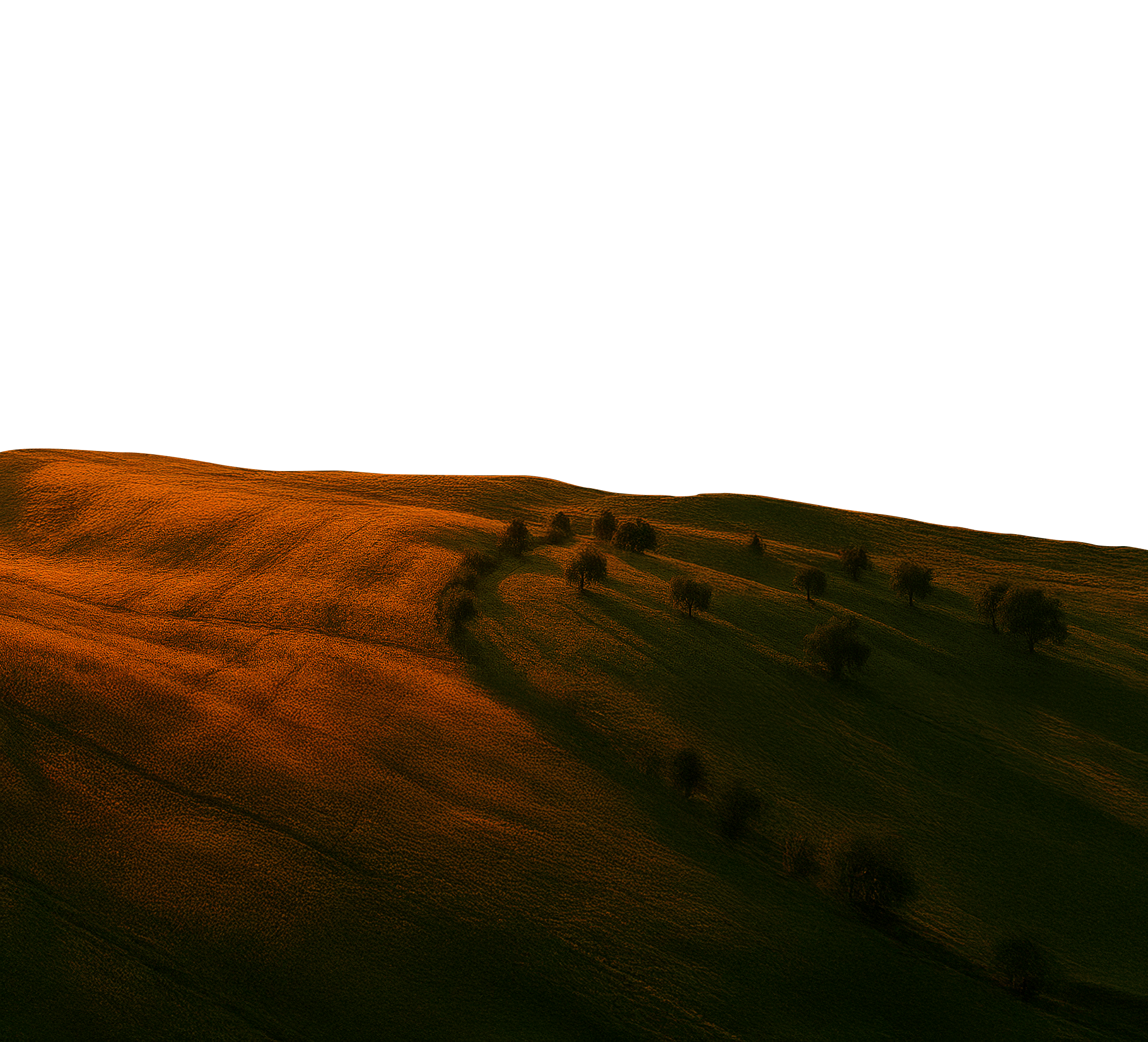 Parallax-Landscape-Foreground-New-min